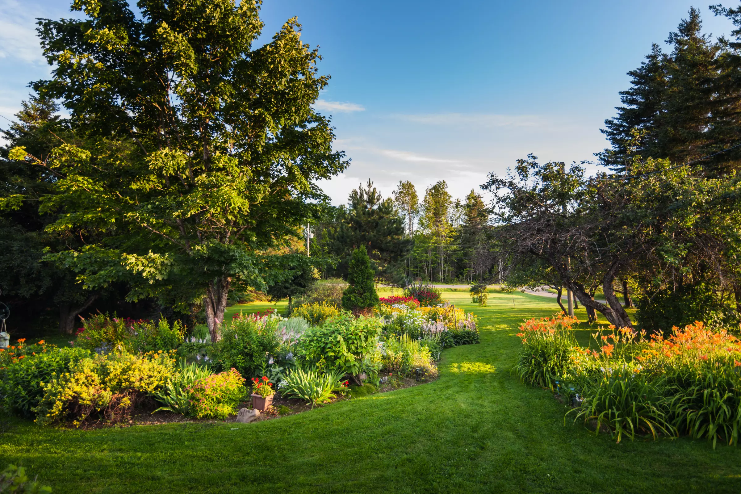 Landscape Design & Maintenance, Architecture Night Lighting